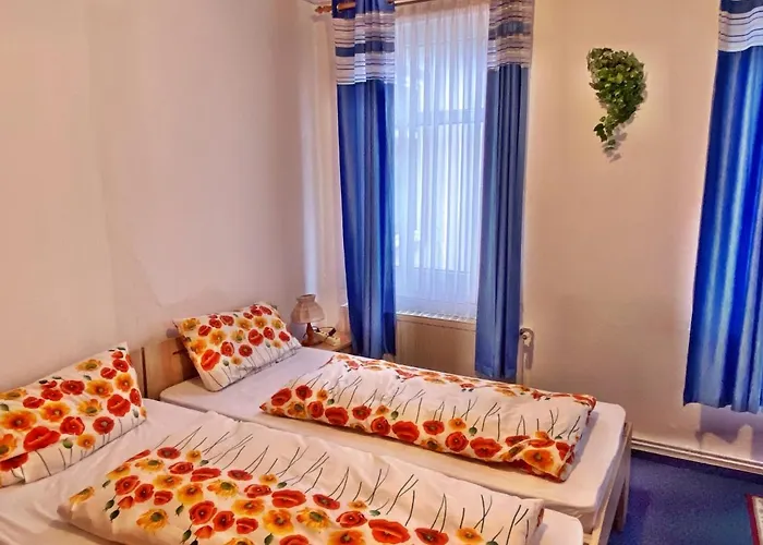 Maccaroni Restaurants & * マイニンゲン